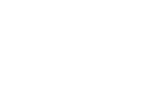 IT girls logo białe