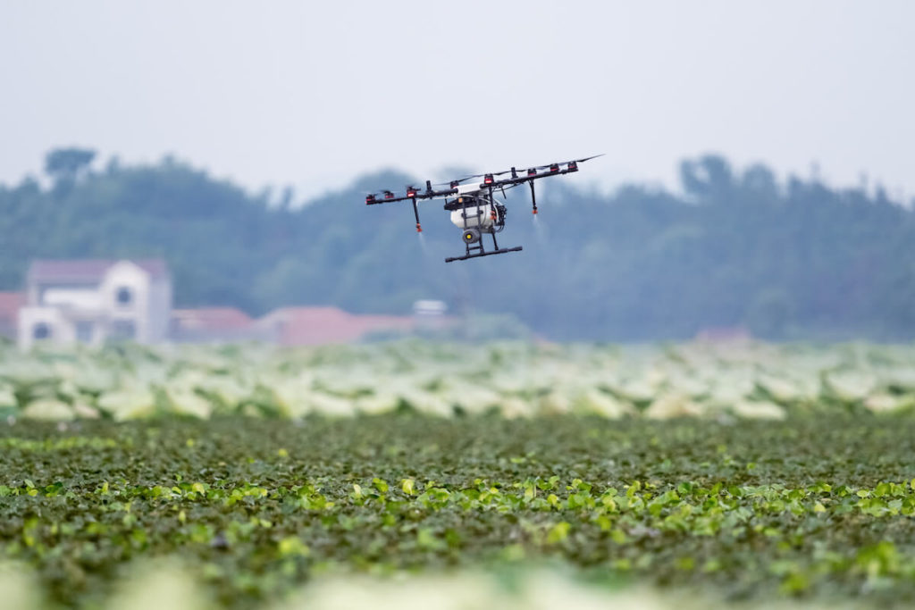 drone spraying field
