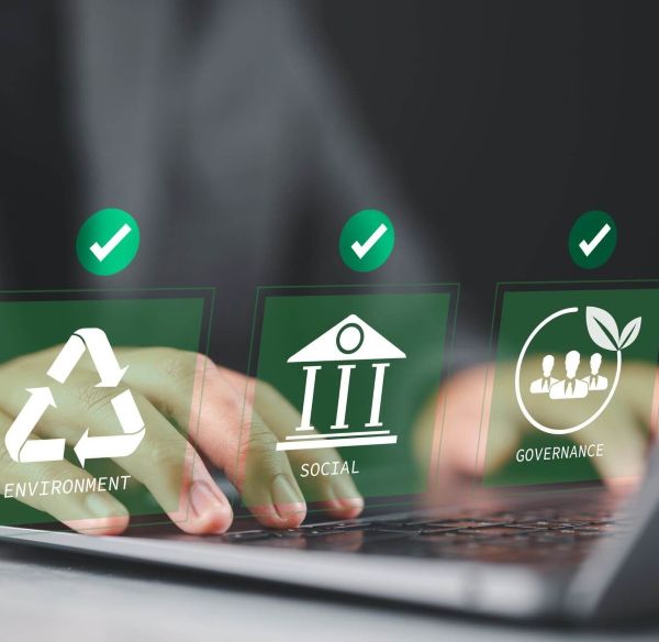 Software development consultancy - public sector card