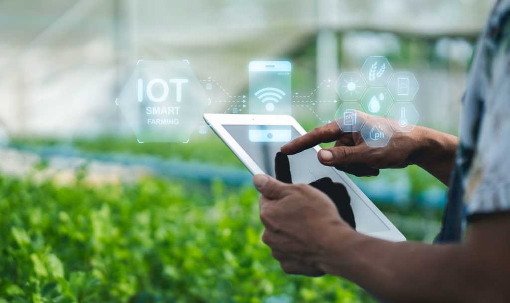 Using IoT technology on the tablet for agricultural business_IoT for precise agriculture