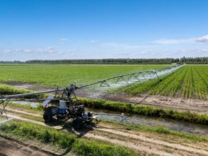 From smart farming to autonomous farming: why software is now the bottleneck