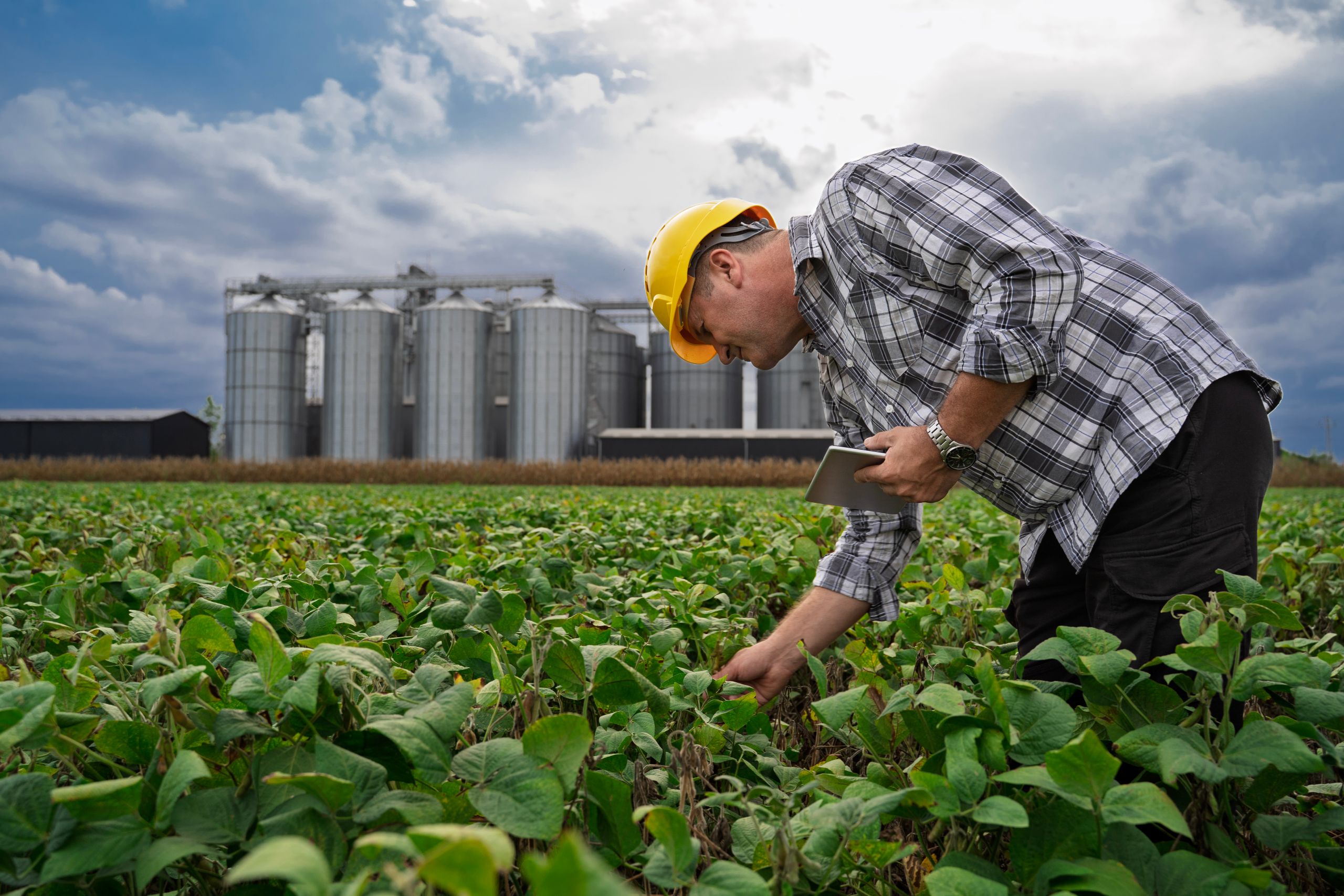 Dlaczego centrum testowe AgriTech staje się wymogiem biznesowym