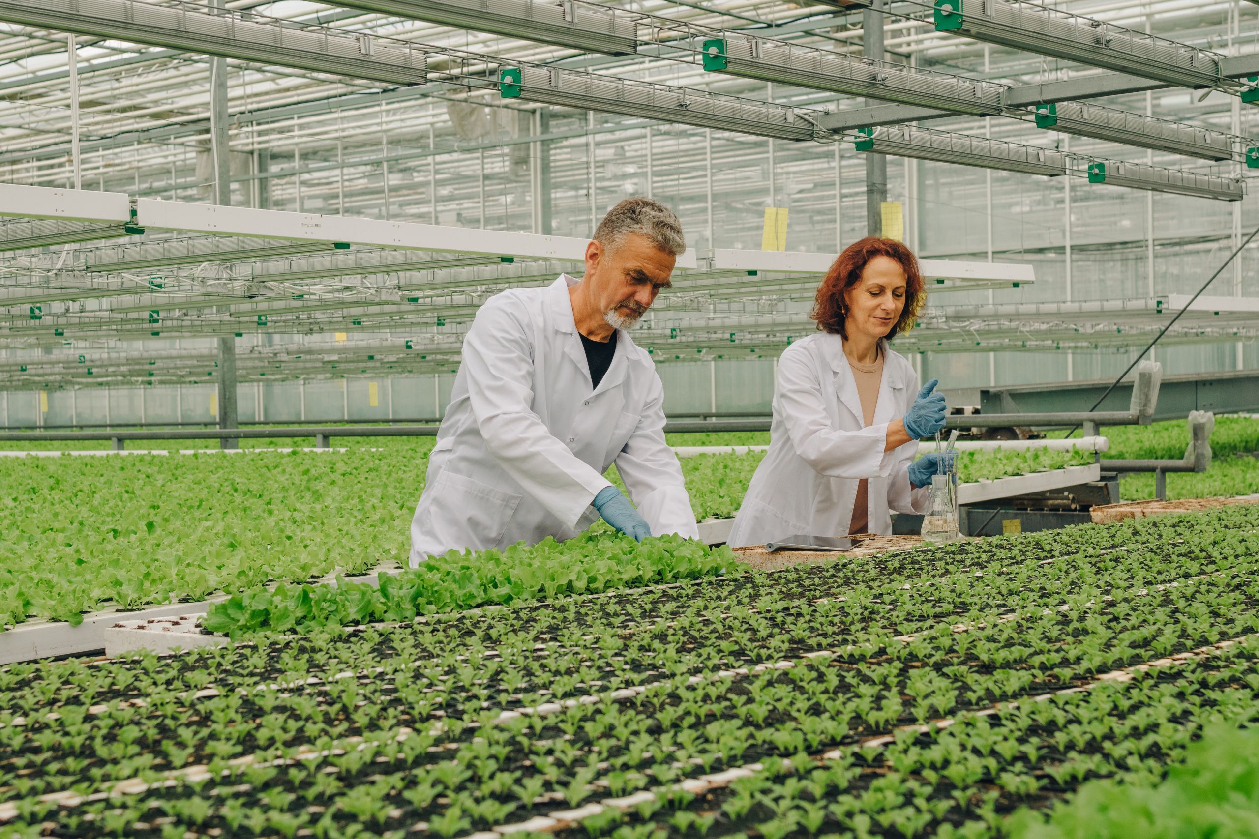 Jak zbudować centrum testowe dla AgriTech w 8 krokach + lista kontrolna